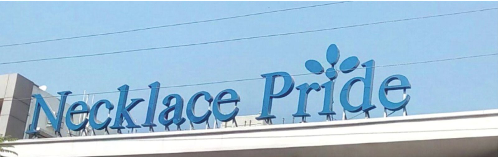 Sattva Necklace Pride — Cedar Innovatives